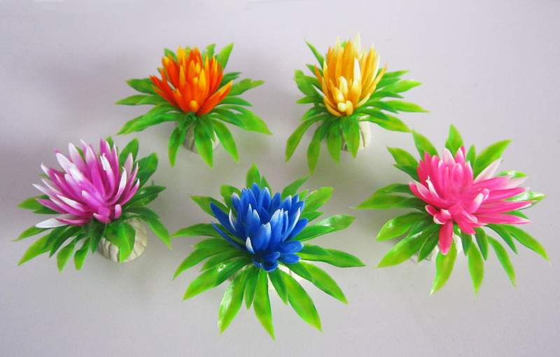 Pflanzen, Mini-Flower